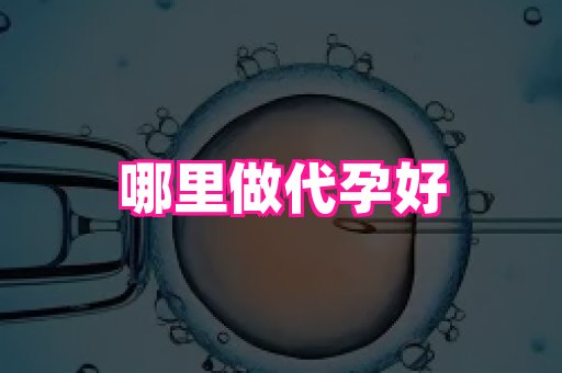 杭州助孕网 1