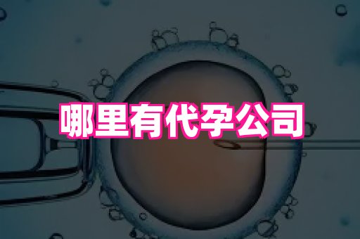 杭州助孕网 1
