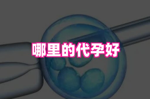 杭州助孕网 3
