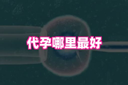 杭州助孕网 4