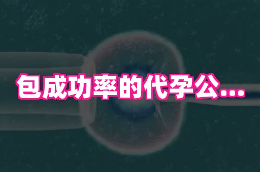 杭州助孕网 4